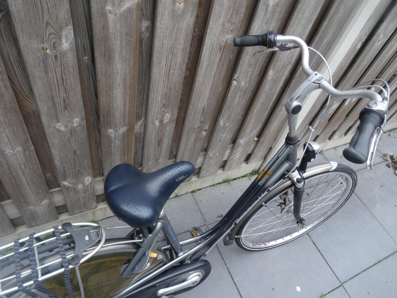 Comfortabele Gazelle Davos 28 inch – klaar voor gebruik!