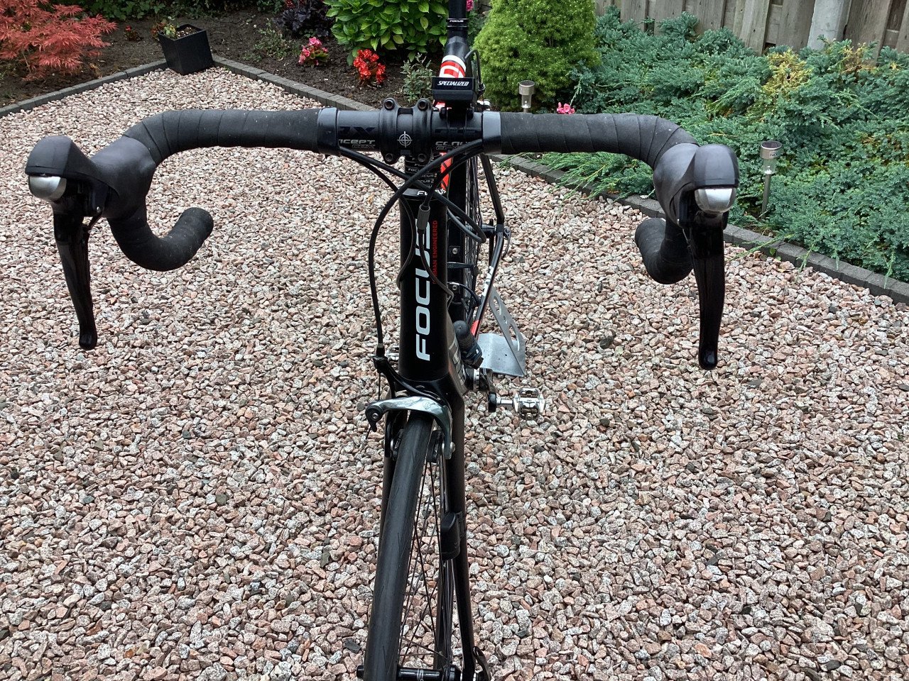 Nette Racefiets Focus Cayo XL, 60 cm, c/t aluminium frame, carbon voorvork.