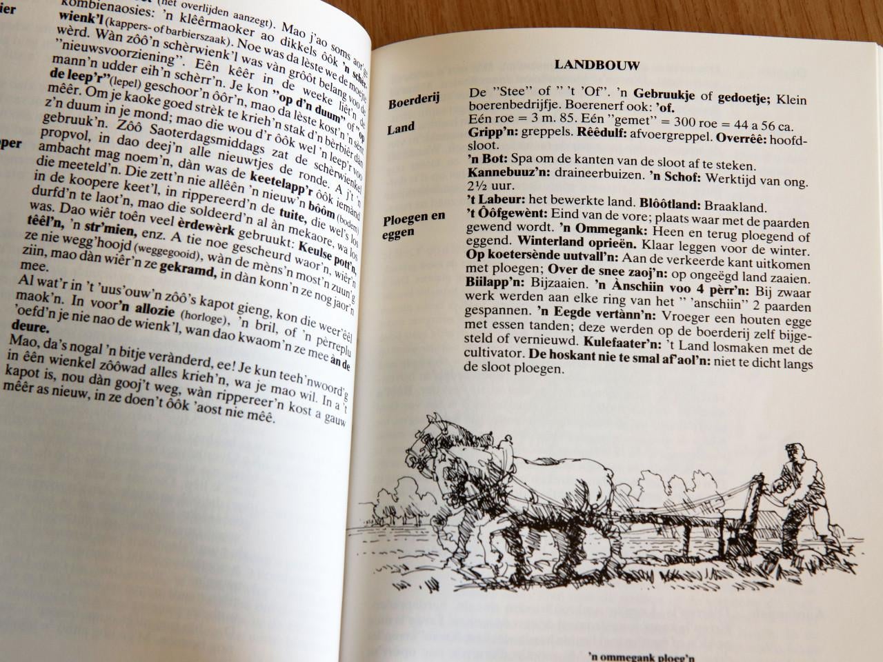 Dialect in het land van Axel