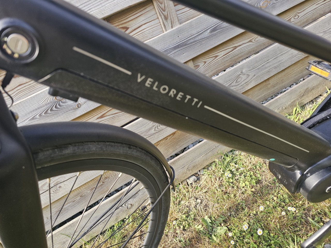 Veloretti ivy one