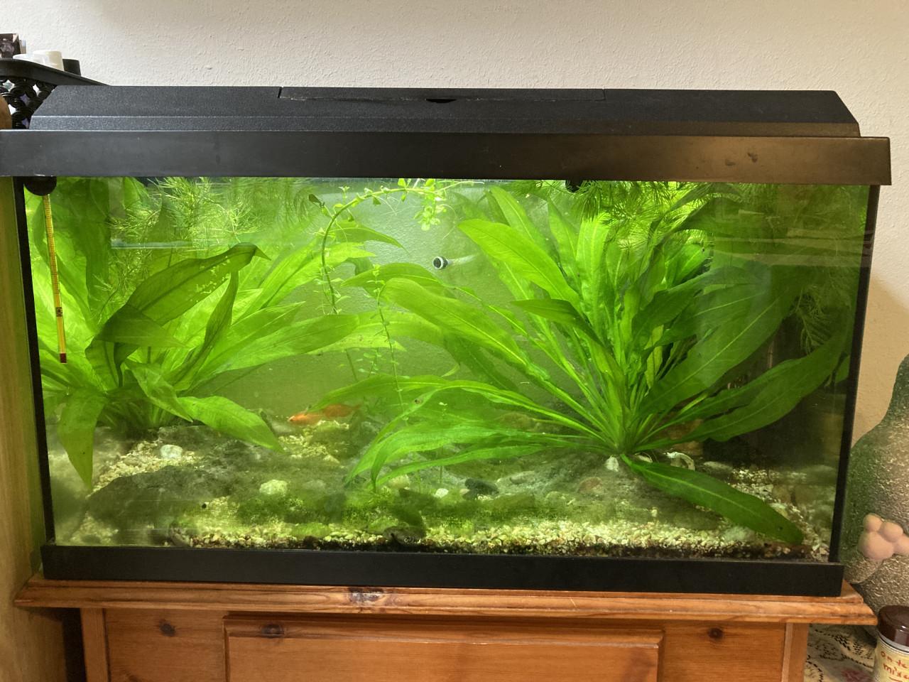 Aquarium