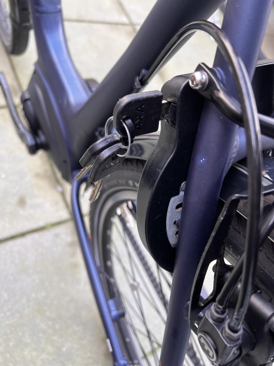 Pegasus Siena E7F Plus Belt