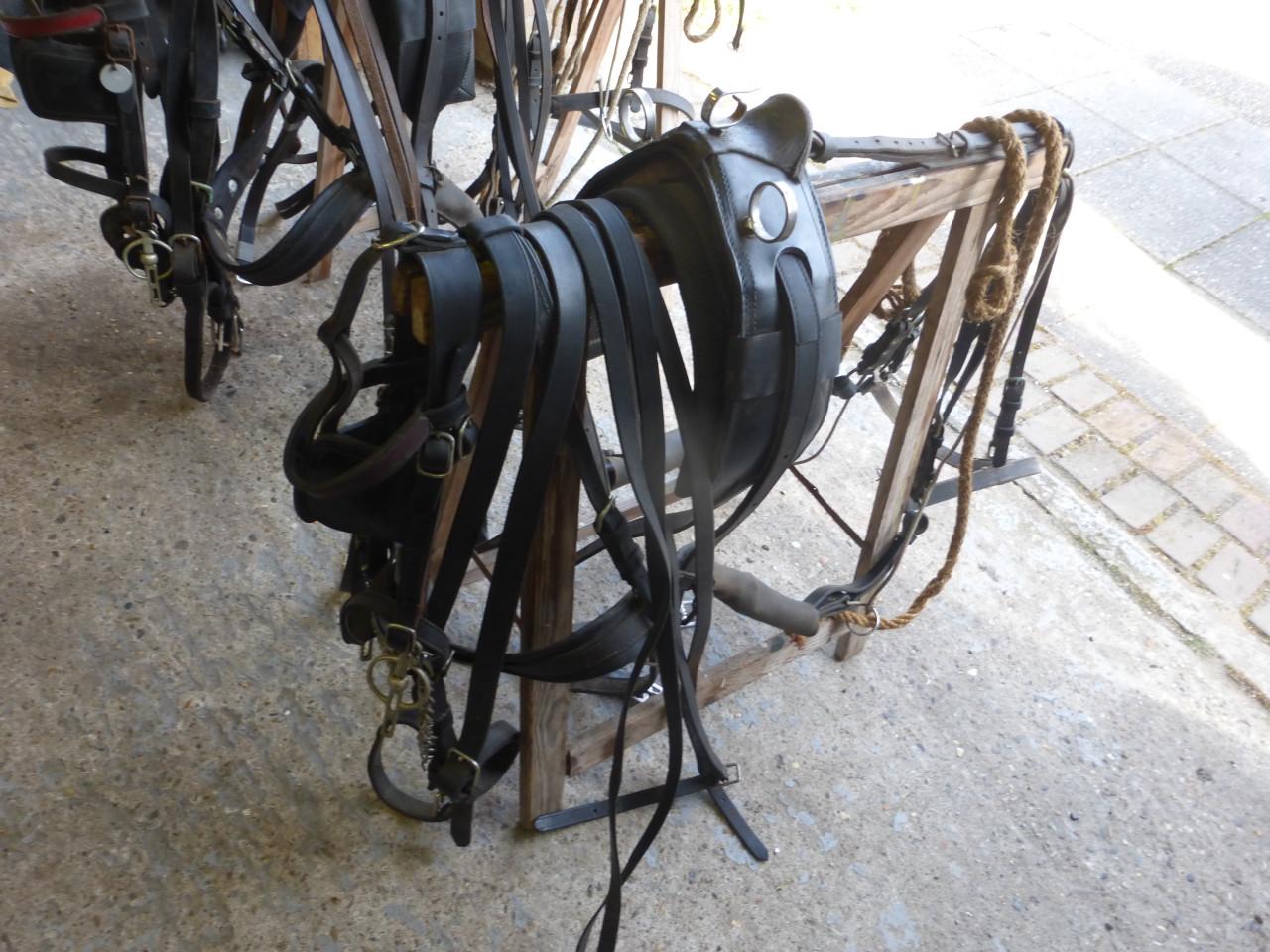 Pony tuig shetlander