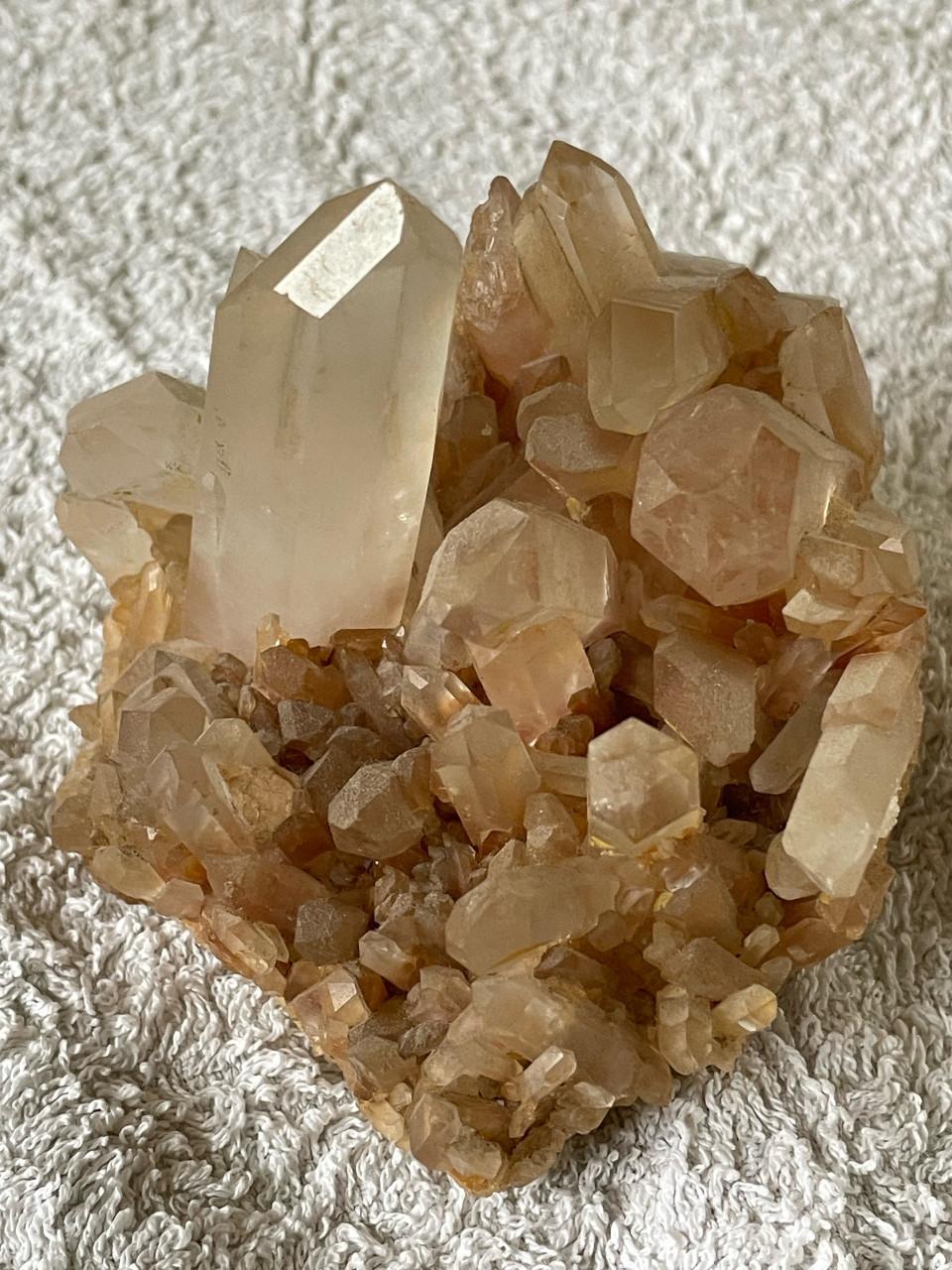 Mineralen en fossielen