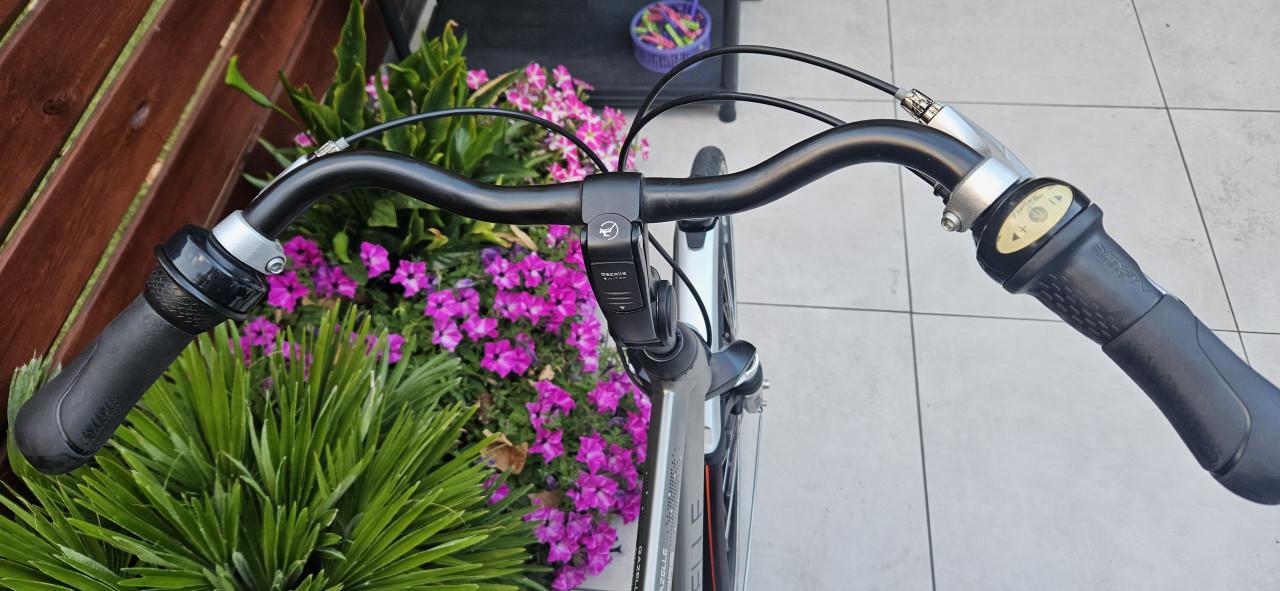 Gazelle Paris C7+ Herenfiets
