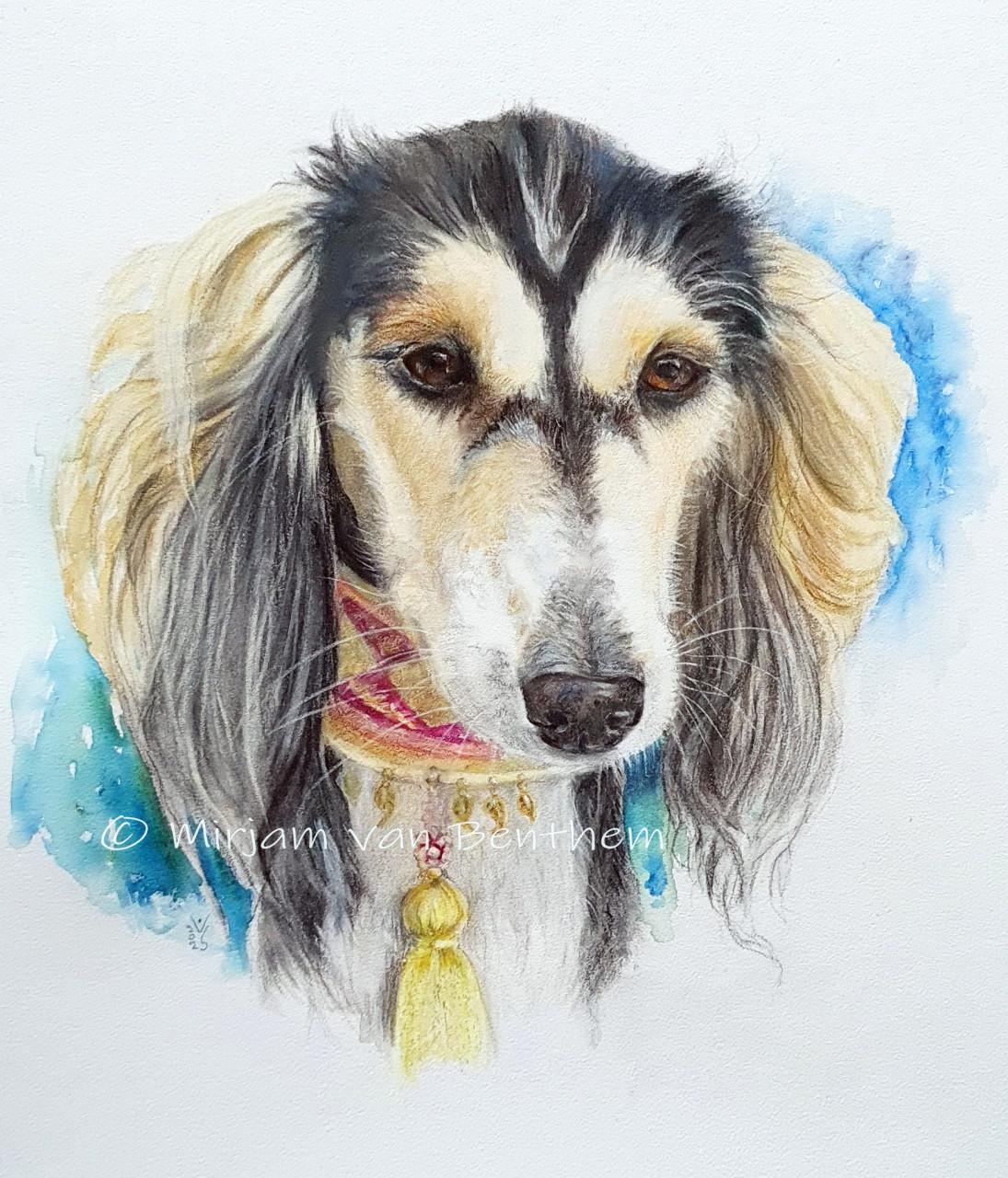 Dierportret in opdracht