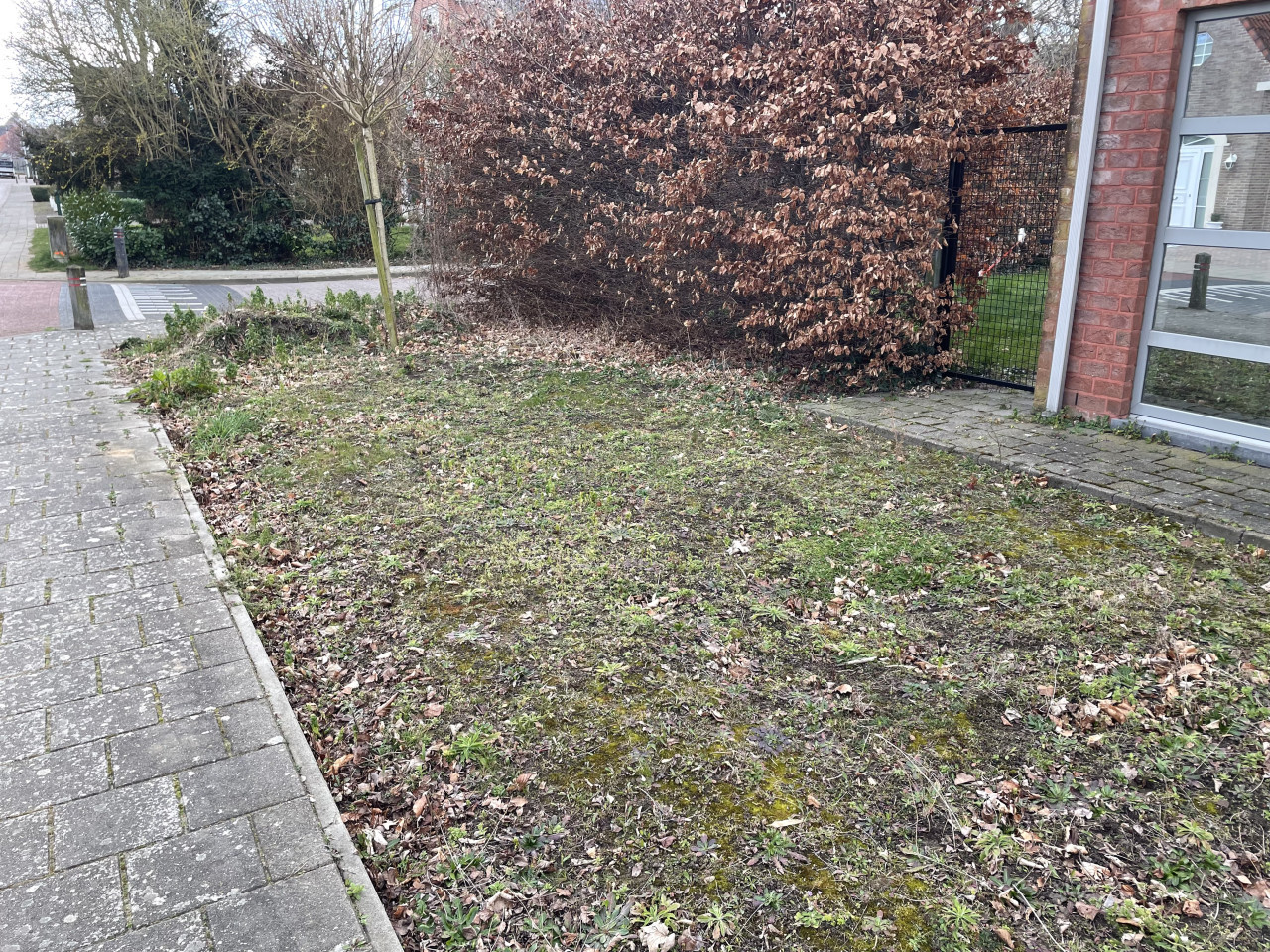Tuinonderhoud