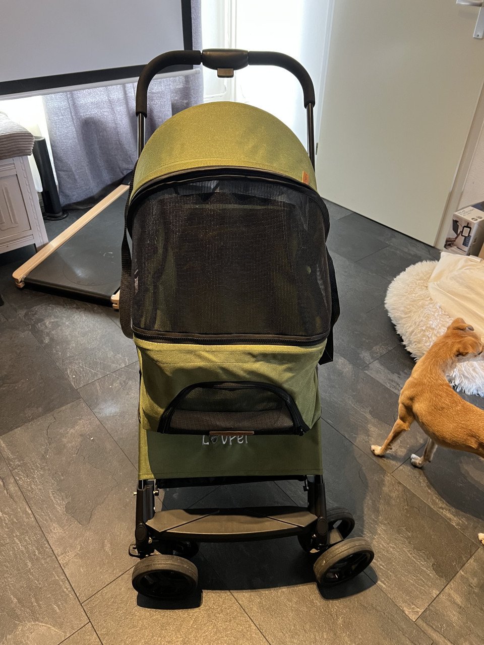 Hondenbuggy / Hondenwagen