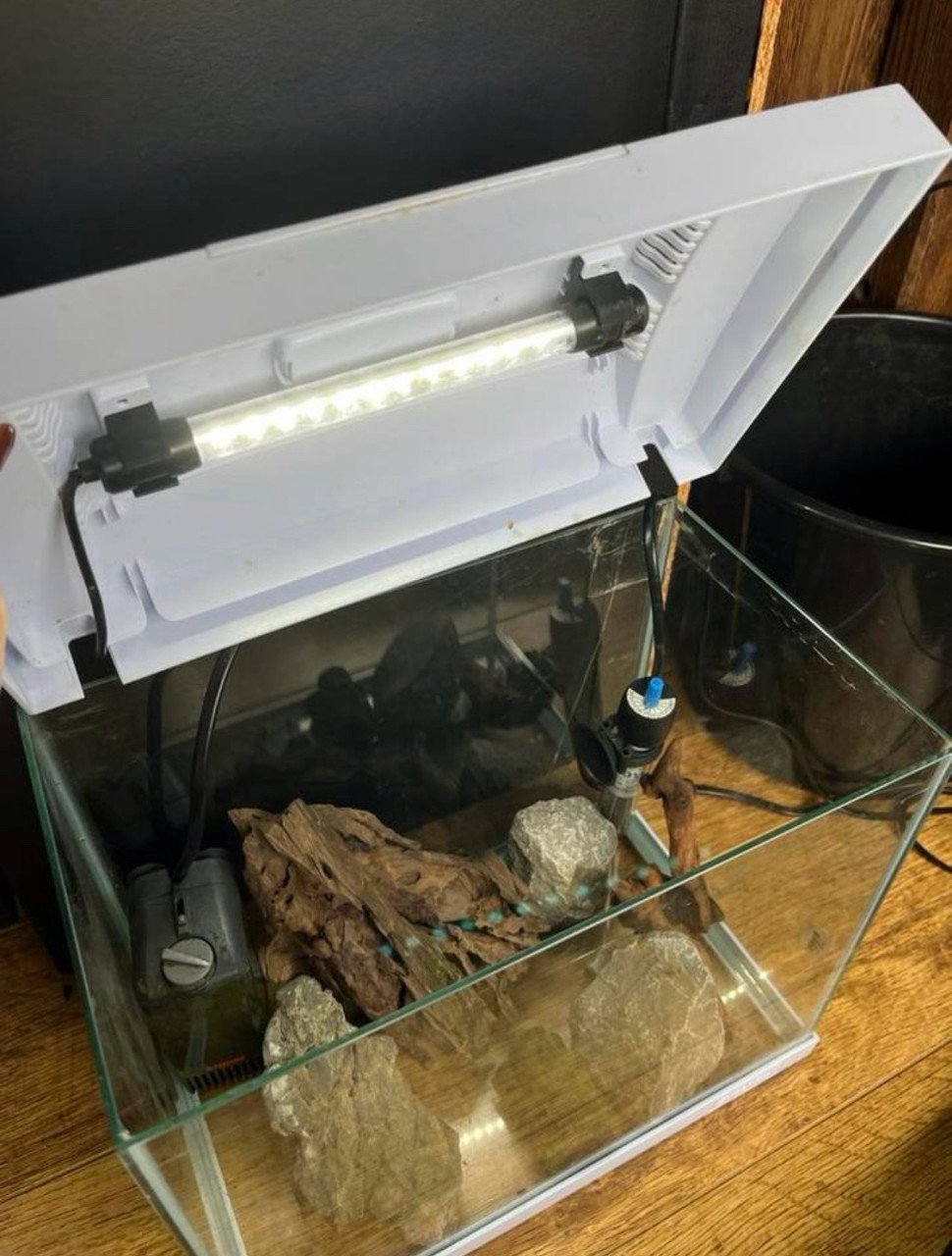 Aquarium klein wit