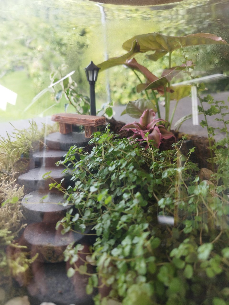 Groot plantenterrarium