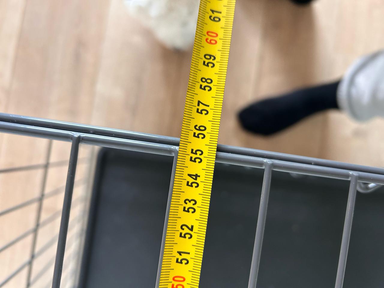 Nieuwe Bench Large
