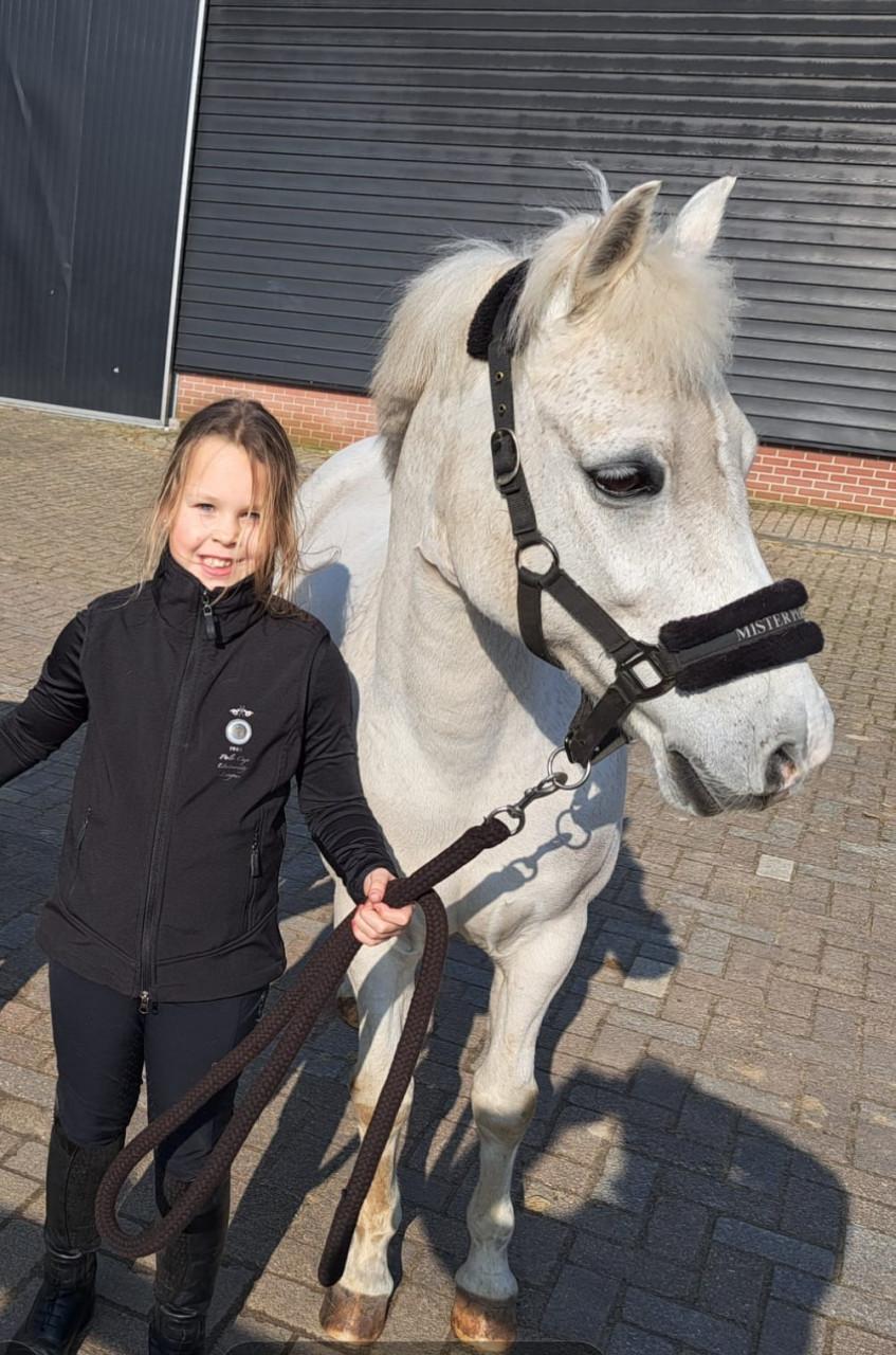 Brave allround kinderpony
