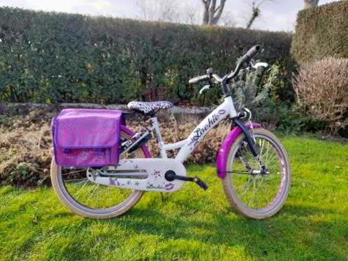Z.g.a.n. Loekie meisjesfiets met bijpassende fietstassen (20 inch)