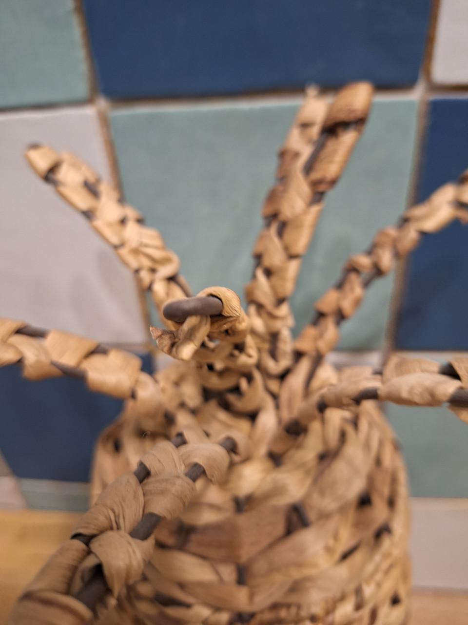 Ananas opberger