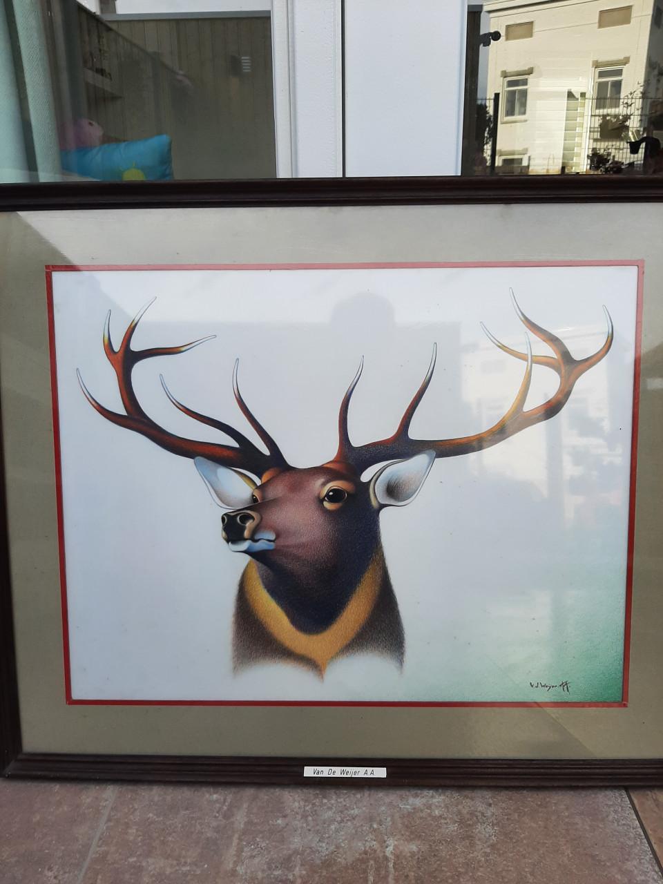 Schikderijen en tekeningen