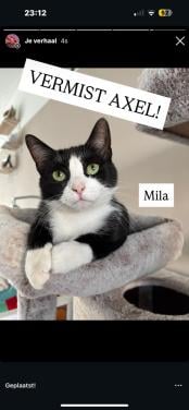MILA VERMIST