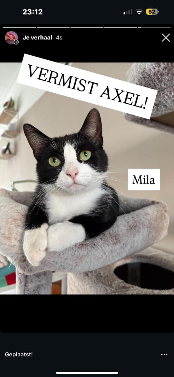 MILA VERMIST