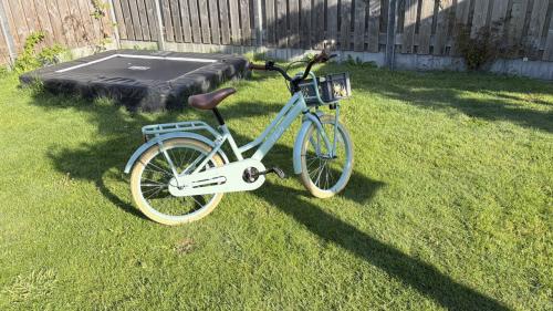 Meisjesfiets 20"