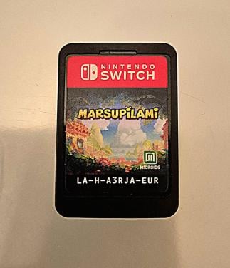 Nintendo switch game