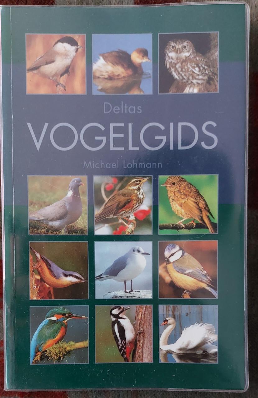 Vogelgids