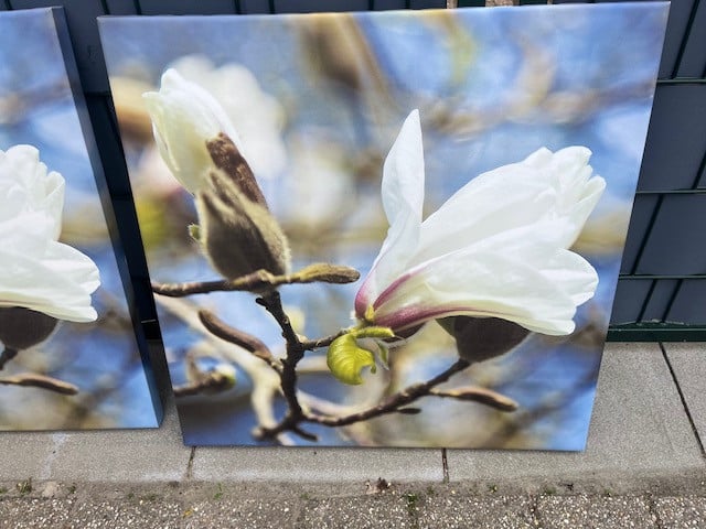 2 Fotolijsten op canvas