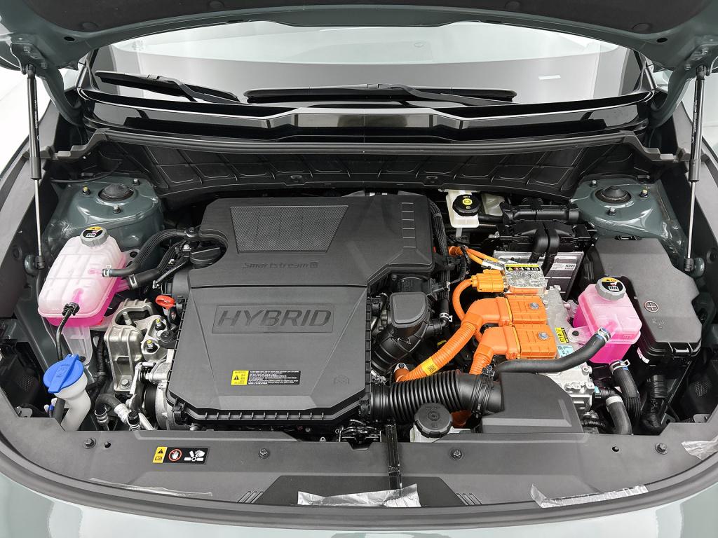 Kia Niro 1.6 gdi hybrid dynamicline | dealer onderhouden | trekhaak |
