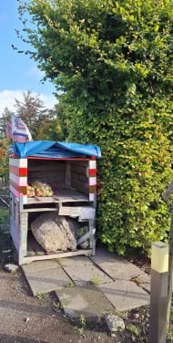 Lekker fruit aanbieding