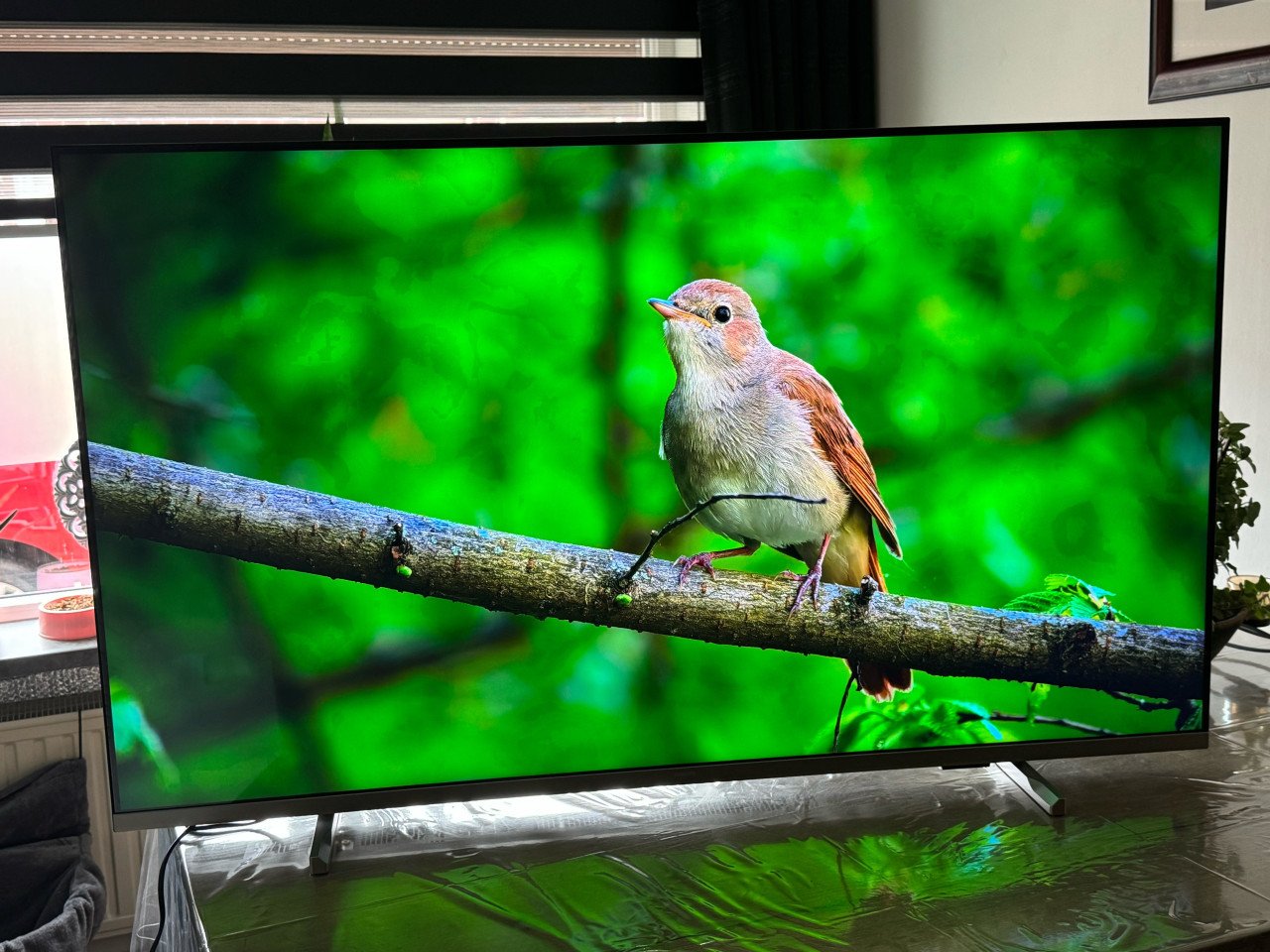 Philips smart tv 4k 55 inch ongeveer twee jaar oud