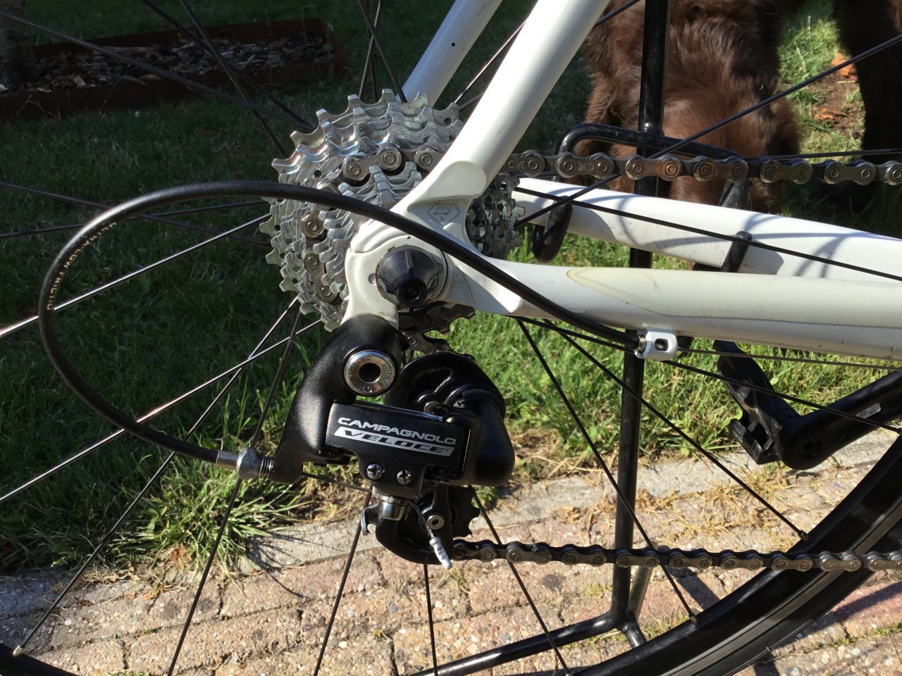 Ridley tritonS