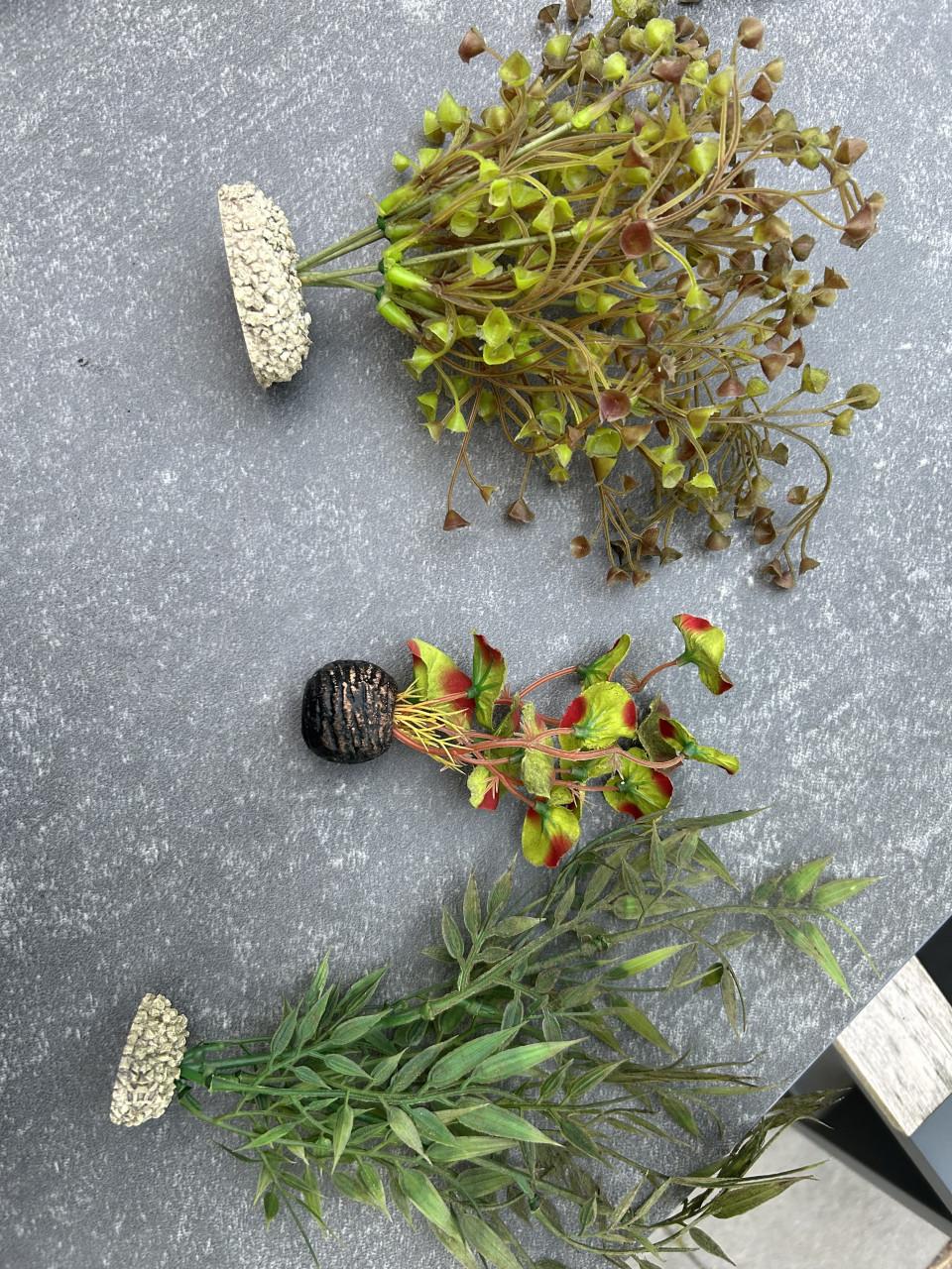 Aquarium met toebehoren