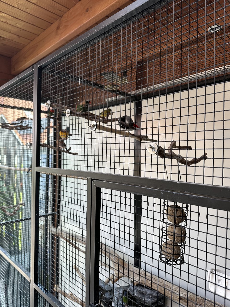 Vogels