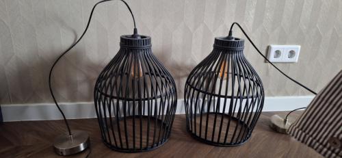 Set van 2 hanglampen