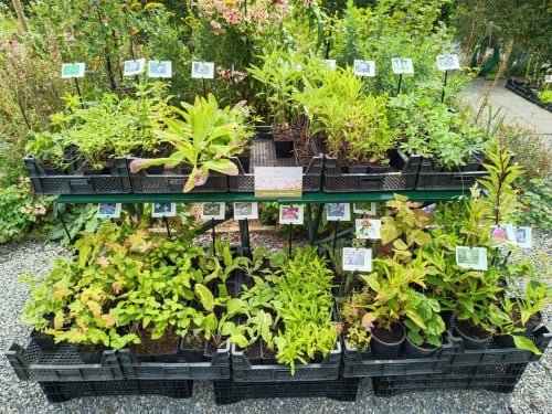 Mini streekproductenmarkt op zaterdag 2 augustus te Absdale  !