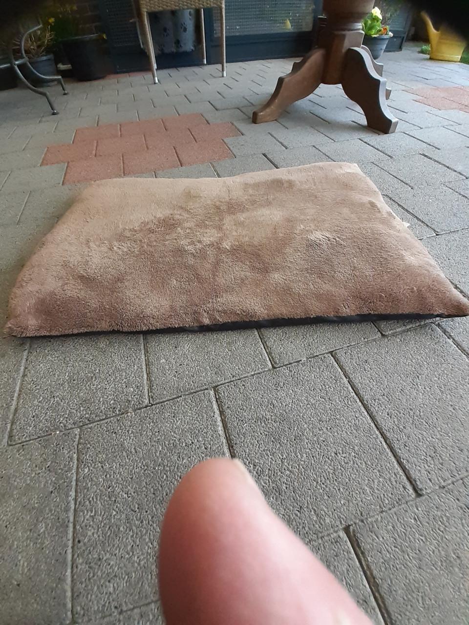 Grote hondenmand plus kussen