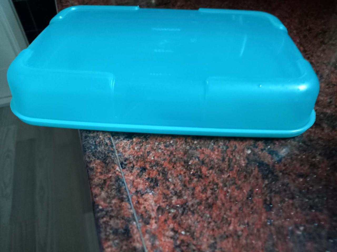 Tupperware bewaarbakken en schalen set