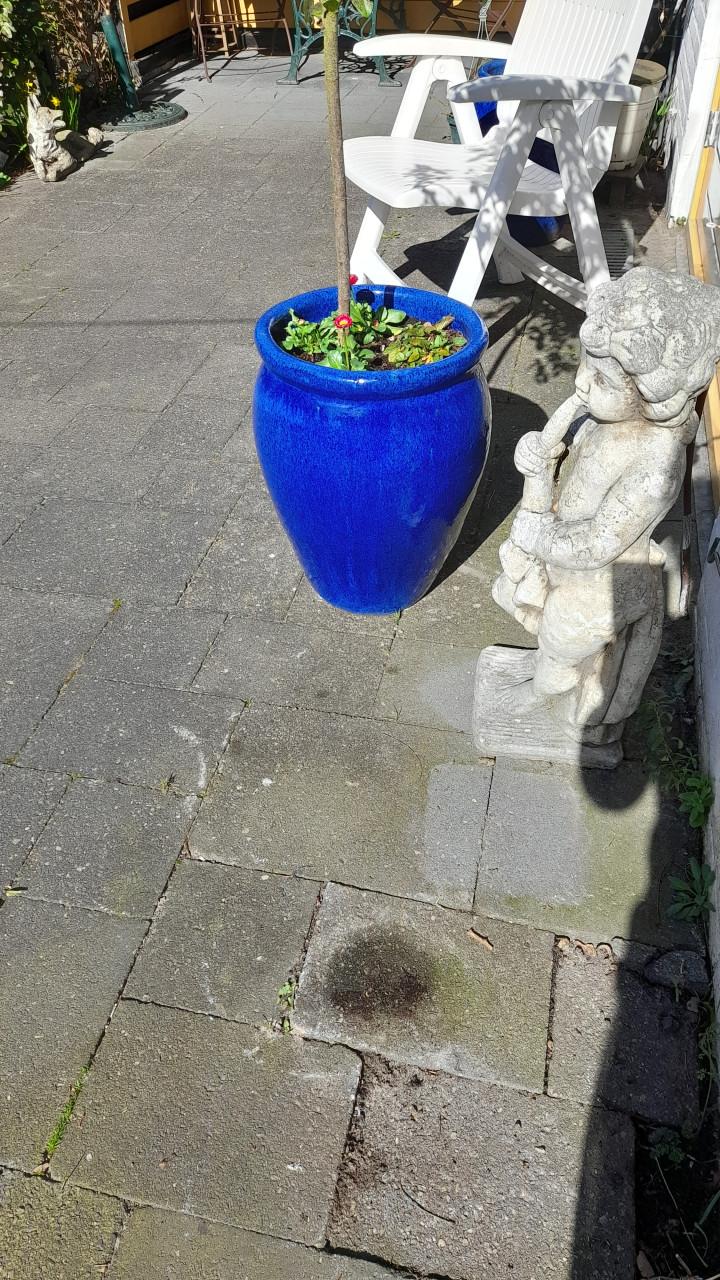 Plantenpot voor buiten