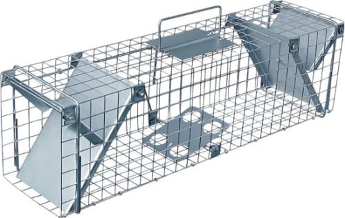 Ratten vangkooi
