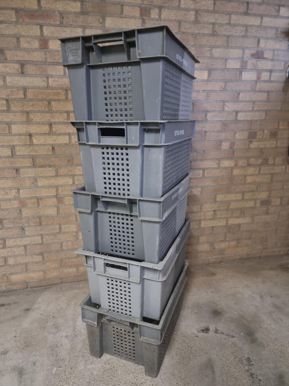 Stapelbare kunsstof kratten 60x40x30