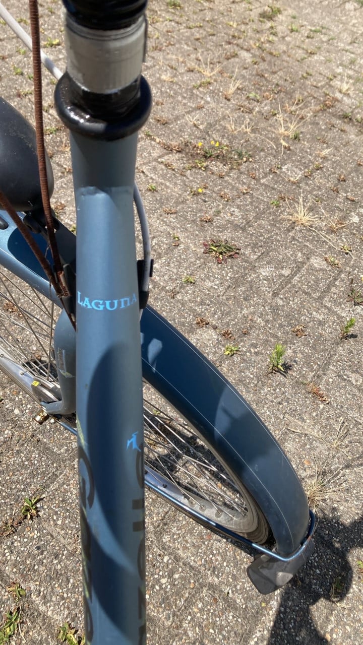 Gazelle laguna damesfiets