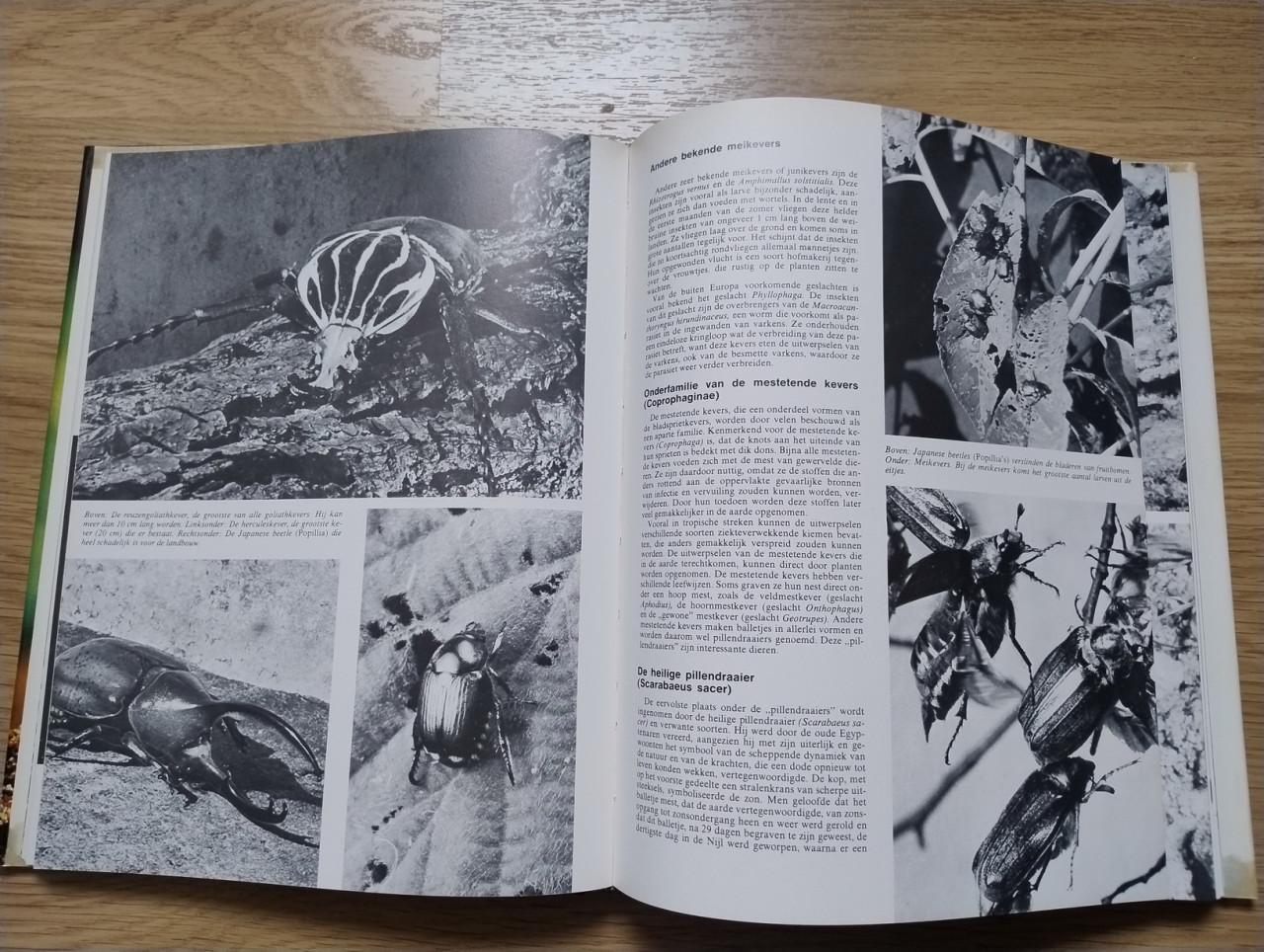 Complete 10 delige serie over de Geheimen van het Dierenrijk