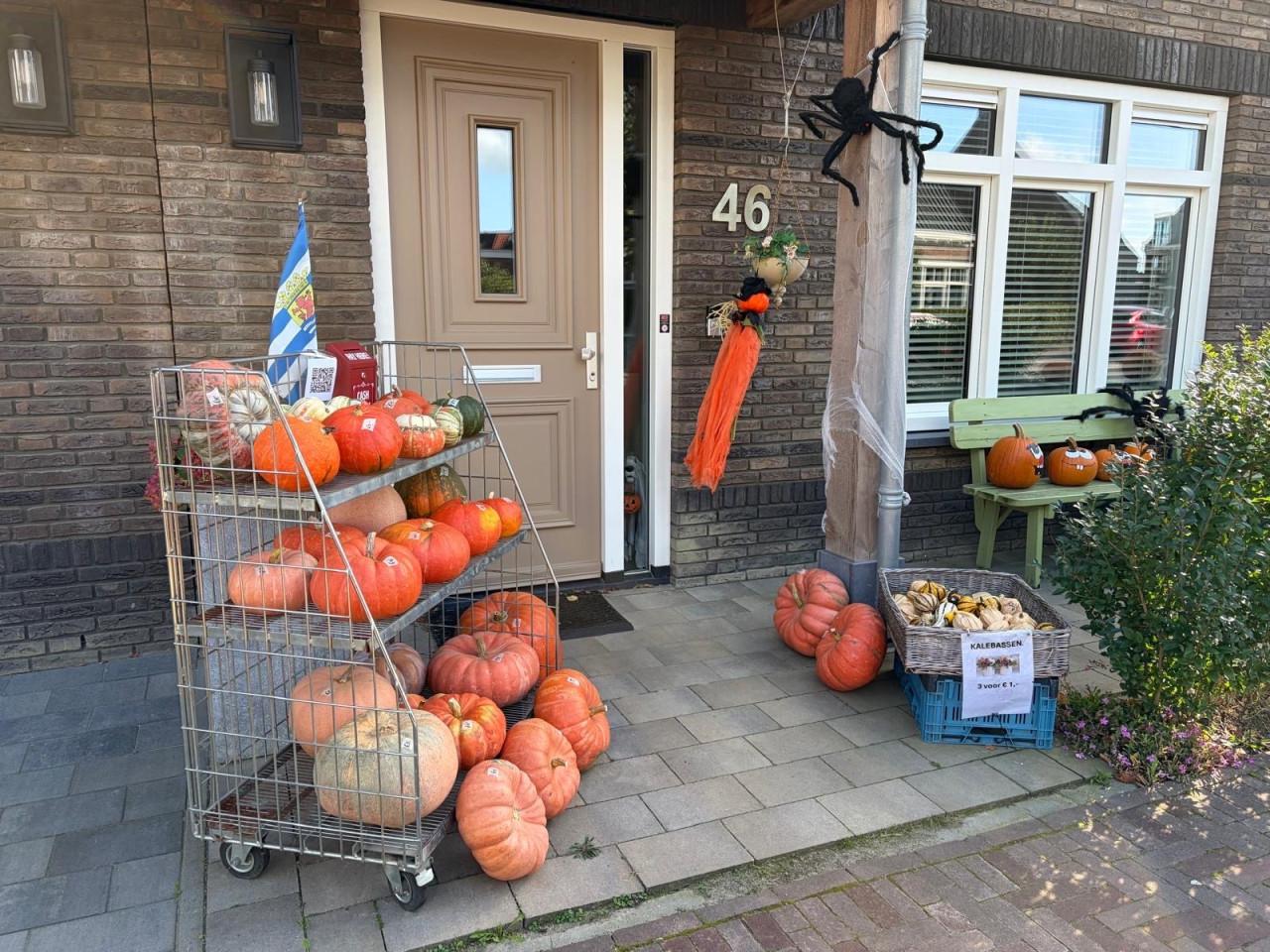 Pompoenen