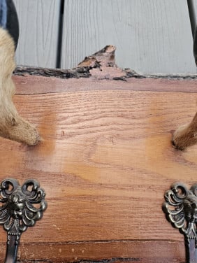 Prachtige antieke boomstam plank met 5 herten poten voor jachtliefhebbers
