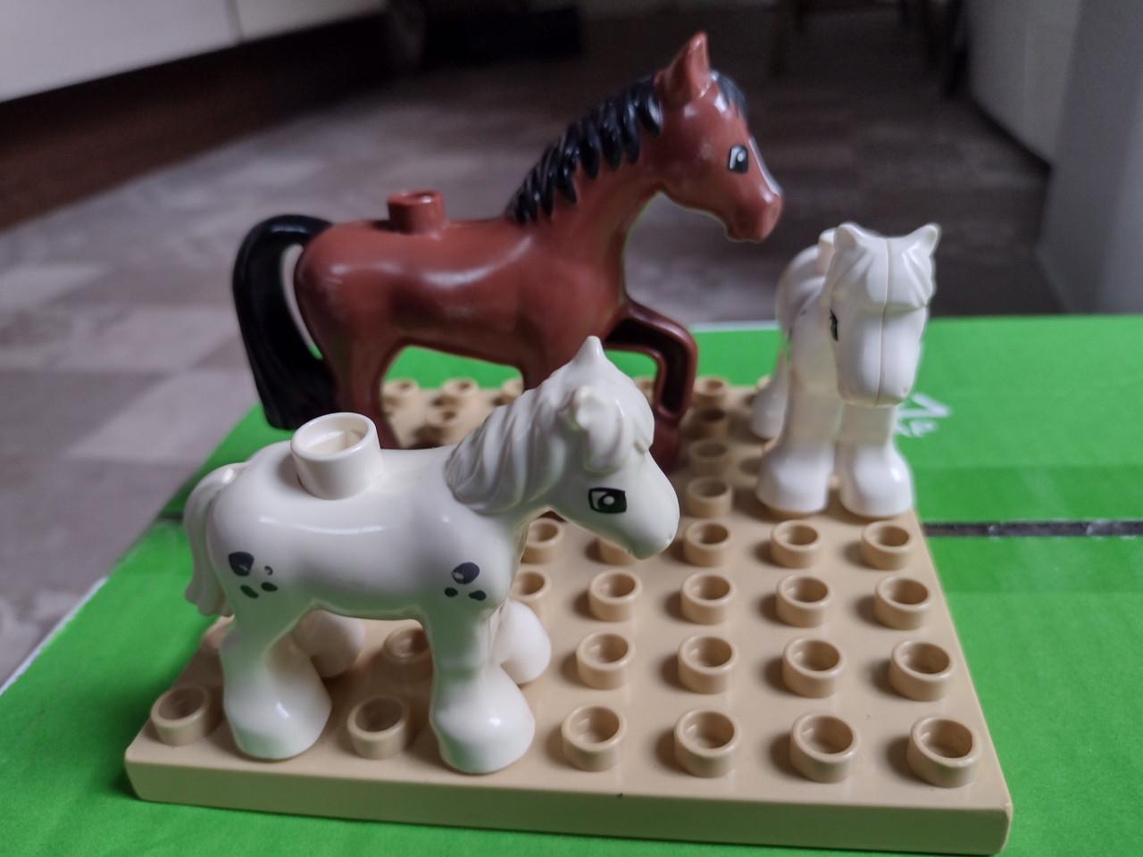 Duplo