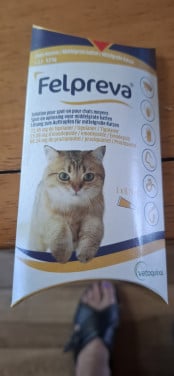 Felpreva vlooienpipet