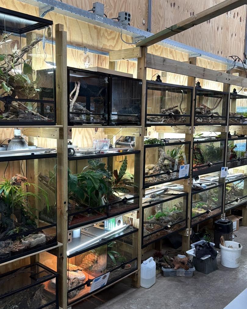 Aquarium, Terrarium & Vijver – Kom langs in onze winkel!