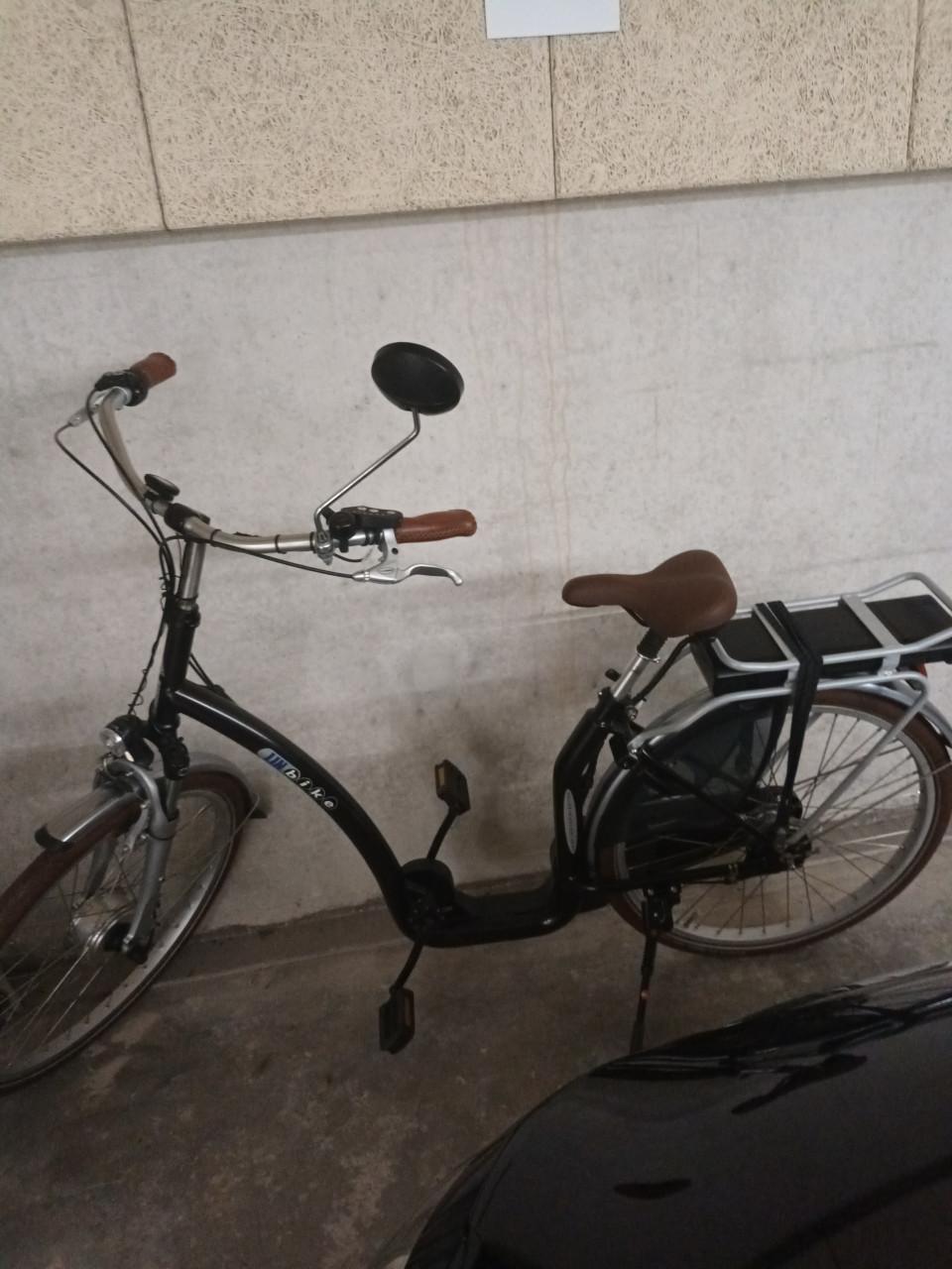Ebike met extra lage instap