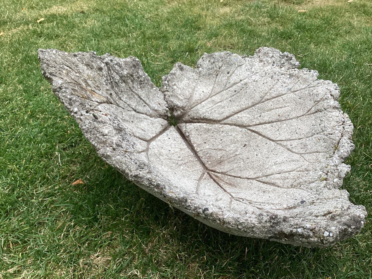 Decoratief betonnen rabarberblad