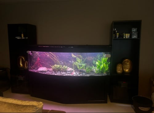 750 liter aquarium met diverse vissen