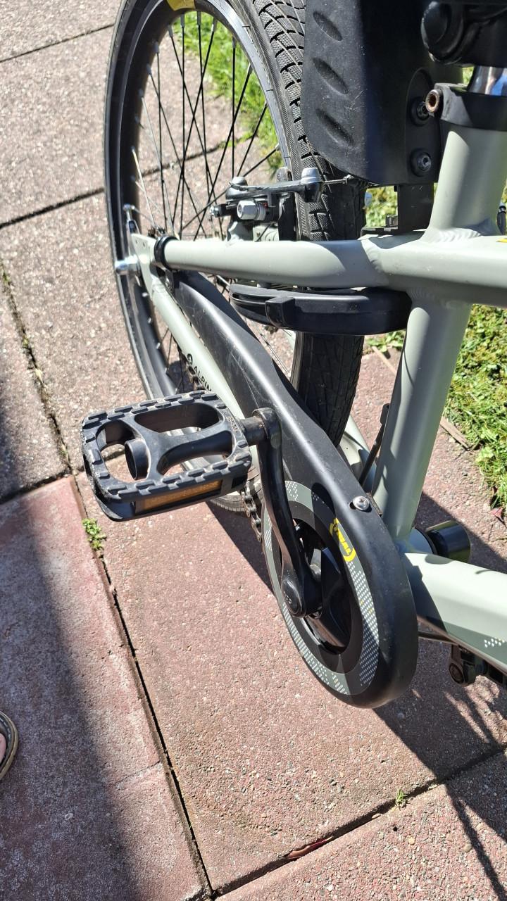 Alpina Trial  22 inch