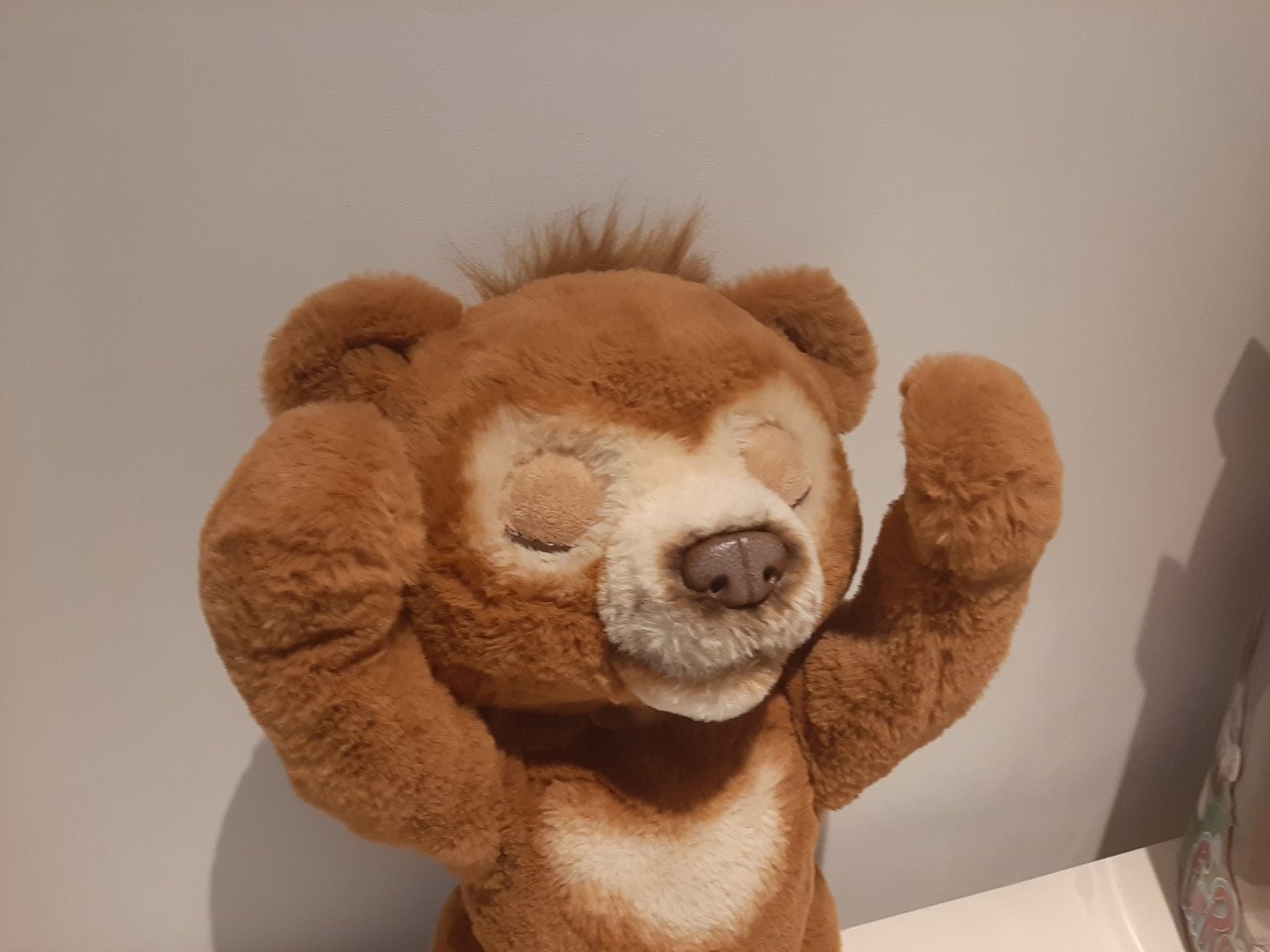 FurReal friends Cubby de beer